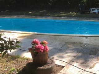 Farmyard at Kerespars, 3 Houses, Sleeps 30 with pool - Leuhan - 4