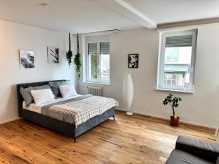 Modernes, renoviertes Apartment nähe dem Zentrum kostenloses Parken - 0