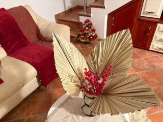 ResidenceOne - Vrsar - 8