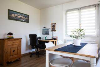 Rare Maison moderne proche centre avec jardin parking gratuit - Colmar - 3