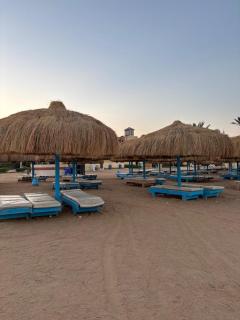Tiba Golden Resort - Hurghada - 4