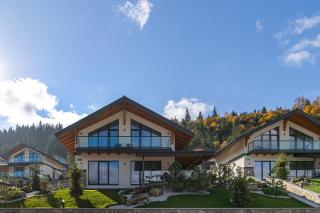 Chalet 348 - Palyanytsya - 8