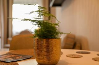 Four Season Thermal Apartman - Mosonmagyaróvár - 1
