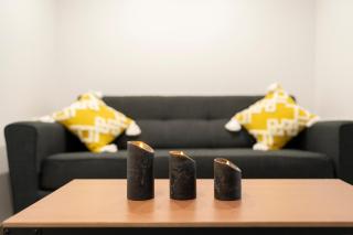 L'Eden d'Elyse - Duplex premium- parking gratuit - Nancy - 5
