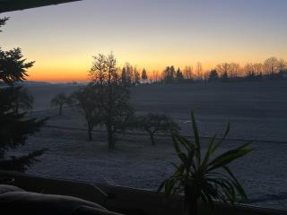 Ferienwohnung zur Falkenlay Bad Bertrich - 7