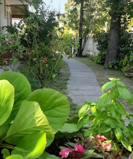 Euroholiday Village 4R - 1