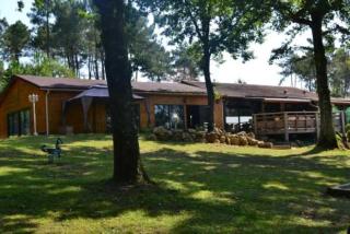 Chalet 4 étoiles - Piscine - eeecic - 7