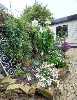 Onthaast & Geniet - 1