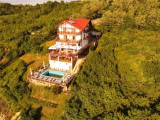 Pensiunea Belvedere Cincis - 9