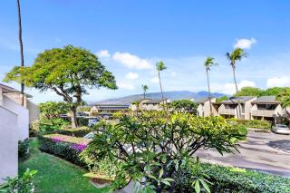 Kihei Holiday 215 - Kihei - 3