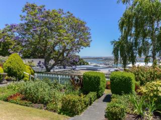 Jacaranda Lodge - Napier Hill Holiday Home - Napier - 7