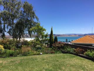 Jacaranda Lodge - Napier Hill Holiday Home - Napier - 9