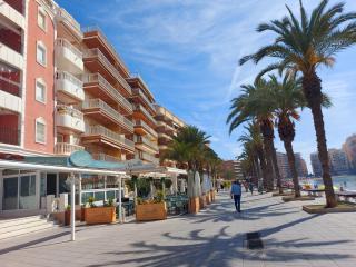 La Perla del Cura - Torrevieja - 0