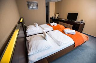 Hotel Magnus Trenčín - Trenčín - 7