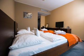 Hotel Magnus Trenčín - Trenčín - 6