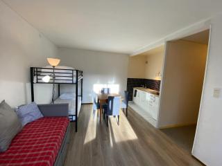 Charmant studio à Laguiole avec vue montagne 27 m² - Laguiole - 8