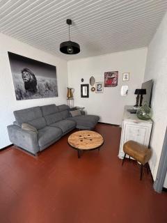 Superbe Maison proche du centre ville de Perpignan - 8