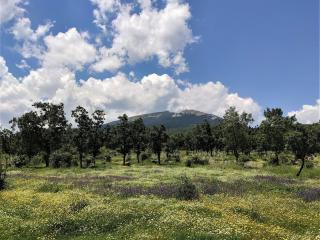 Villa Carmen del Rosal - Miraflores de la Sierra - 3