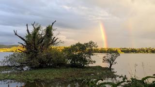 Lake Front - Ibbagomuwa - 2
