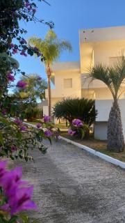 Il Giardino Apartments - Santa Maria - 7