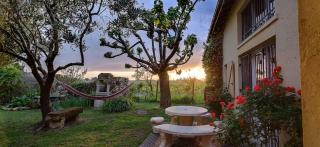 Les Vignes - Saint-Magne-de-Castillon - 7