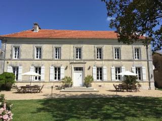 Manoir - Domaine de la Vaure - Chillac - 0