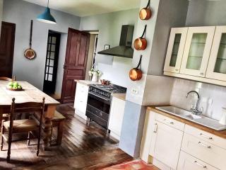 Manoir - Domaine de la Vaure - Chillac - 5