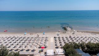 Club del Sole Stork Family Collection - 7