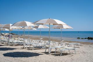 Club del Sole Stork Family Collection - 5