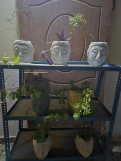 Xafe home - Varanasi - 1