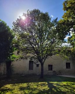 Petite Maison - Domaine la Vaure - Chillac - 4