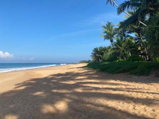 Coastal Heaven - Bentota - 9