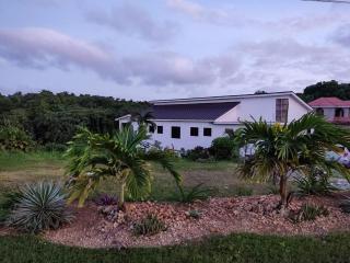 The Willow Apartment - Ocho Rios - 2