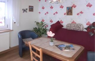 Pet Friendly Apartment - 9