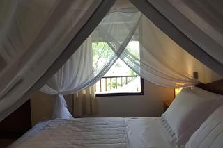 Licuri Praia de Algodões à poucos passos do mar. - 4