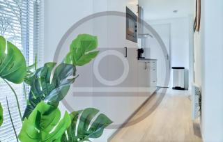 2 Bedroom Amazing Home In Hellendoorn - Hellendoorn - 1