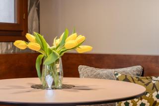 Nobilis Apartment - 8
