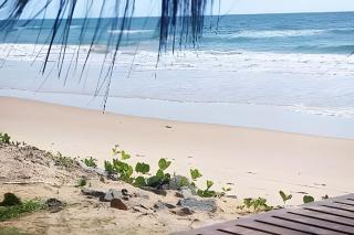 Licuri Praia de Algodões paz amor na beira do mar - Maraú - 3