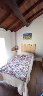 Cèdres Bleus de Joany chez Nathalie - 4