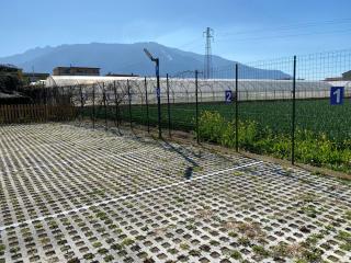 Villa Del Gaudio Rooms & Apartments - Castellammare di Stabia - 1