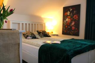 Skandi Apartament - Nowa Ruda - 0