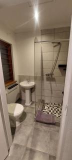 The Big 5 - Lion - 3