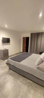 The Big 5 - Lion - 4