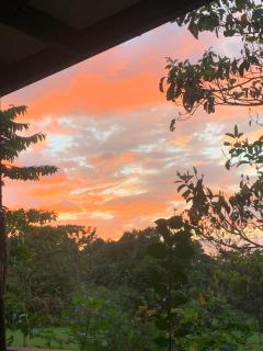 Finca flo - Carara - 1