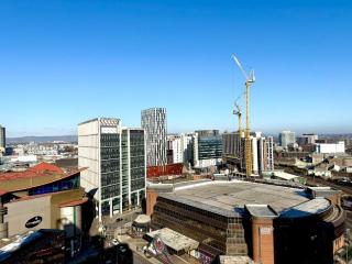 Cardiff Skyline Penthouse Apartment Free Parking Sleeps 8 - 4