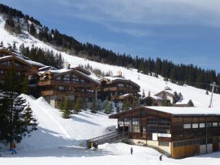 Appartement cosy à Courchevel 1850 avec accès direct aux pistes - FR-1-514-11 - 3