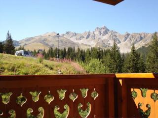 Charmant appartement rustique à Courchevel, 5 pers, près des pistes - FR-1-514-29 - Courchevel - 4