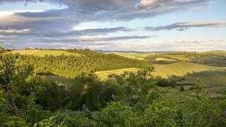Il Granaio - Castelfiorentino - 9