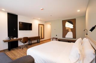 Radisson San Luis Potosi Aeropuerto - Santa Ana - 5