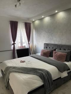 Lux stan Kragujevac - Kragujevac - 7